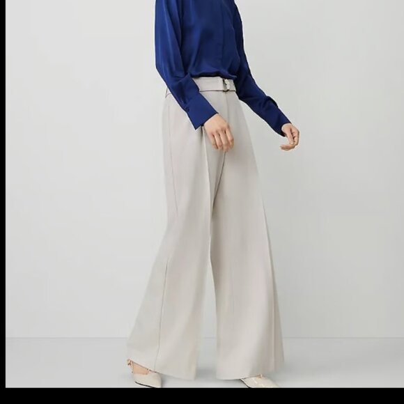 ANN TAYLOR THE PLEATED WIDE LEG PANT PALE SAND TAN CREAM $139 6 - Picture 2 of 10